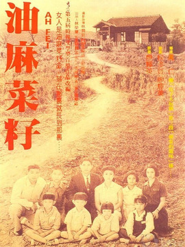 油麻菜籽