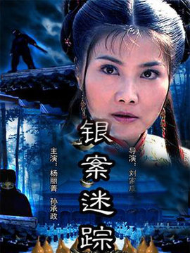 银案迷踪
