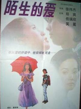 陌生的爱