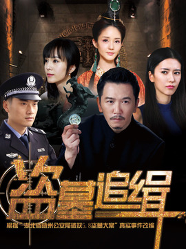 盗墓追缉