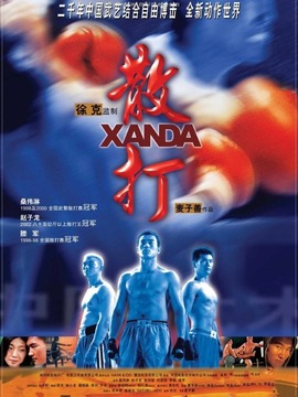 搏击之霸