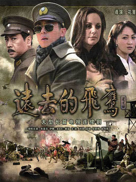 远去的飞鹰