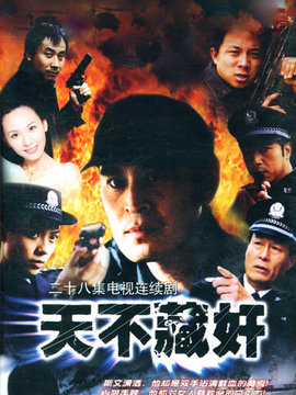 天不藏奸