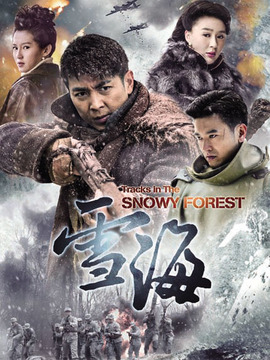 雪海